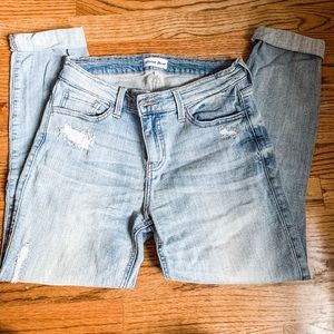 Studio Blue- Blue Jeans